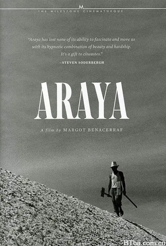阿拉亚/Araya