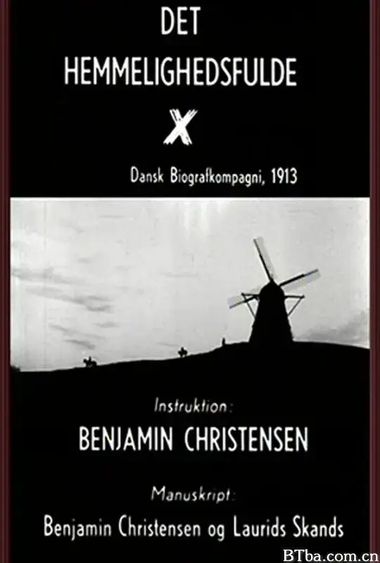 神秘的X/Det hemmelighedsfulde X