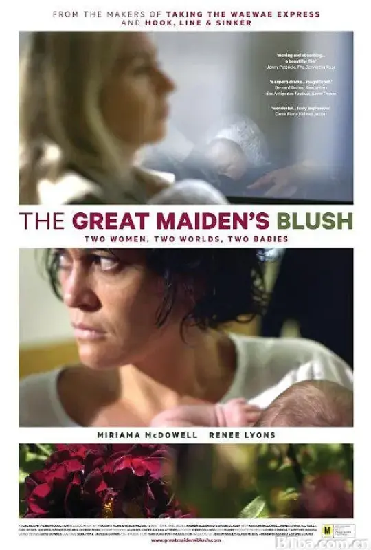 伟大少女的脸红/The Great Maiden's Blush