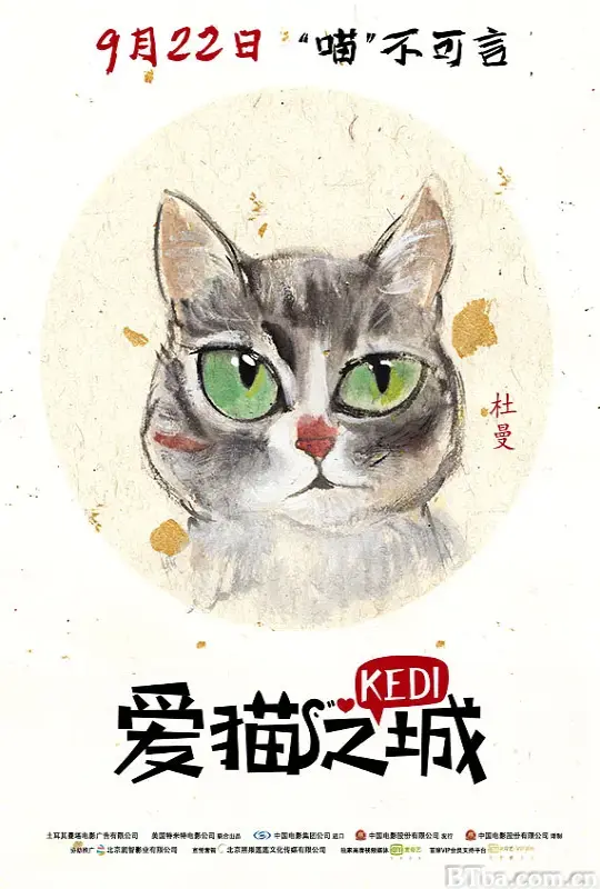 爱猫之城/Kedi