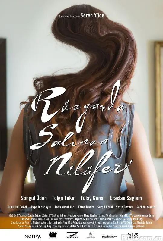 摇曳多姿的睡莲/Rüzgarda Salınan Nilüfer