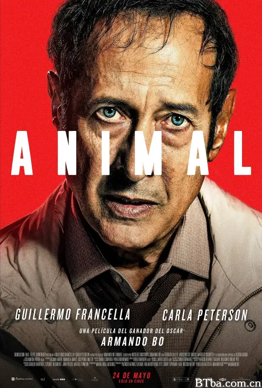 动物本能/Animal