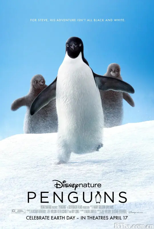 企鹅/Penguins