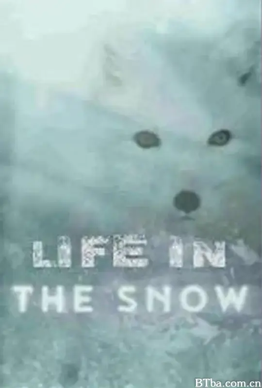 雪域中的生命/Life in the Snow