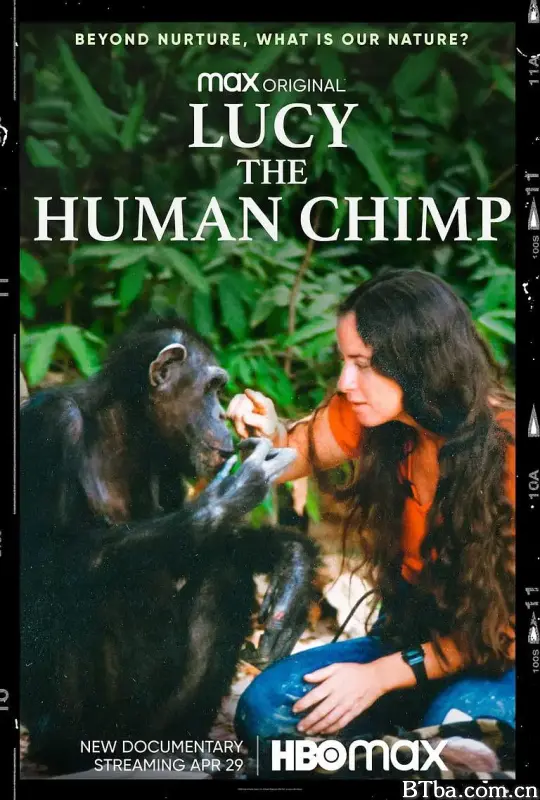 Lucy, the Human Chimp