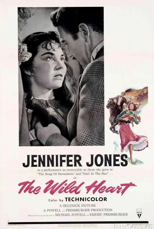 狂野之心/The Wild Heart
