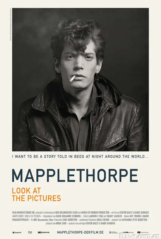 罗伯特·梅普勒索普：看看那些照片/Mapplethorpe: Look at the Pictures