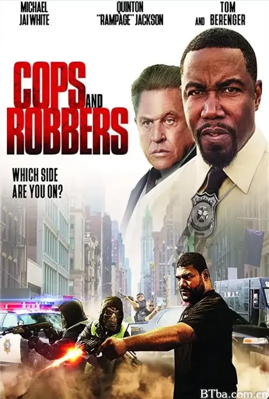 警匪游戏/Cops and Robbers