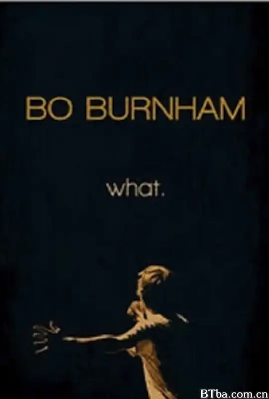 博·伯翰：什么。/Bo Burnham: What