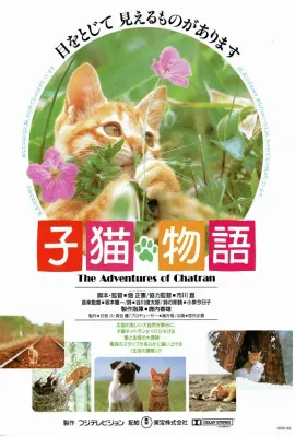 小猫的故事/子猫物語