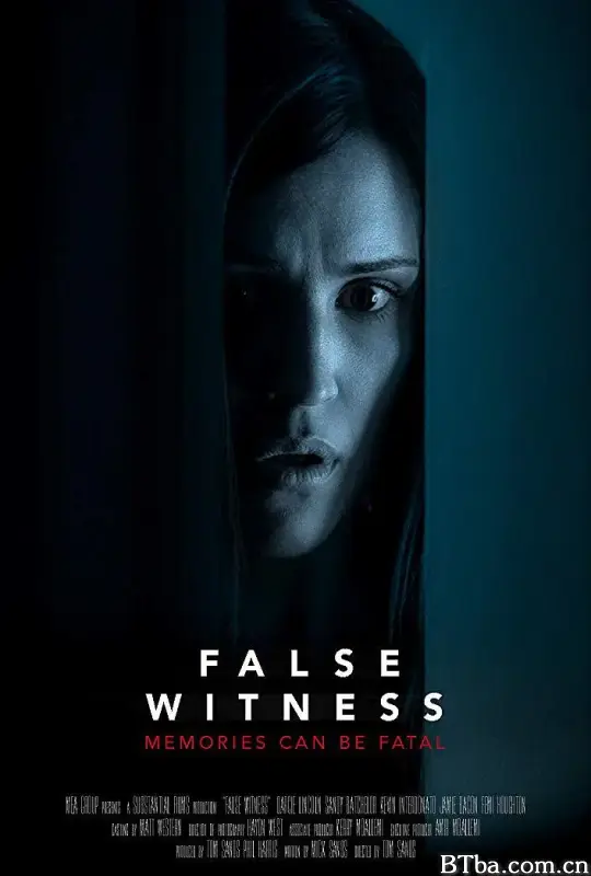 假证人/False Witness