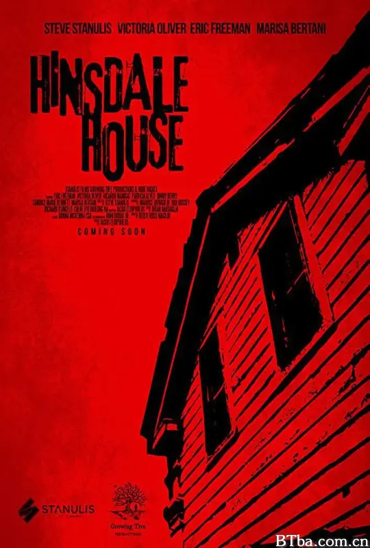 欣斯代尔的房子/Hinsdale House