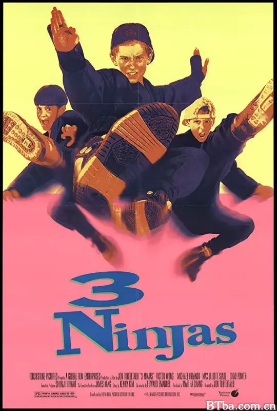 忍者小英雄/3 Ninjas
