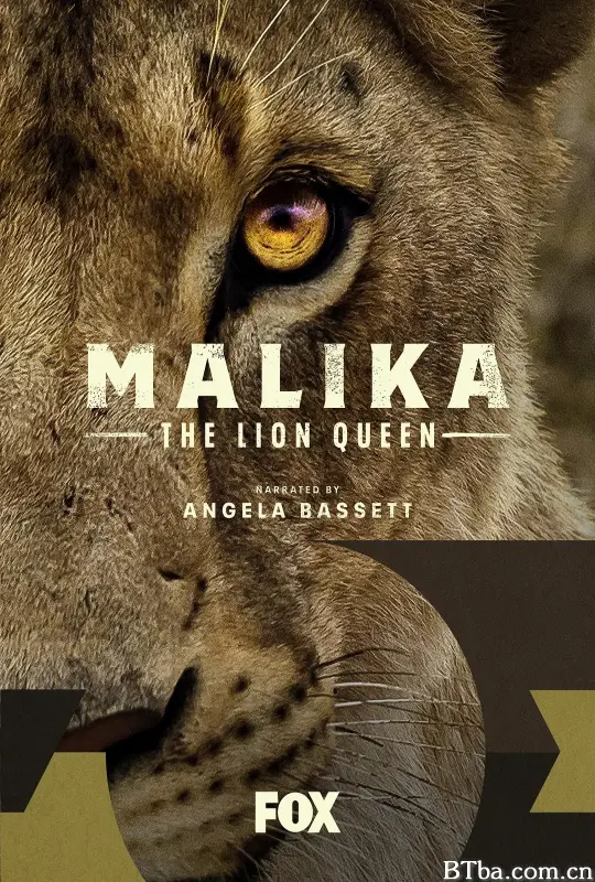 狮子女王/Malika the Lion Queen
