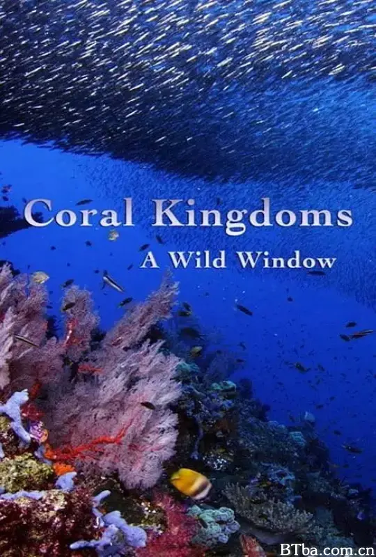 珊瑚王国/Wild Window: Coral Kingdoms